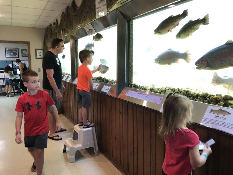 The Shepherd of the Hills Fish Hatchery The Branson Mom